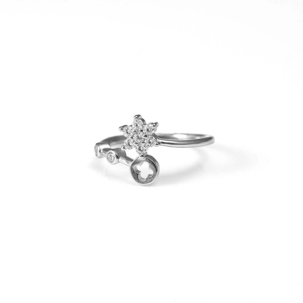 The Flora Spin Zirconia Silver Ring